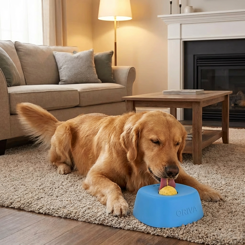 LickFlow Dog Bowl.